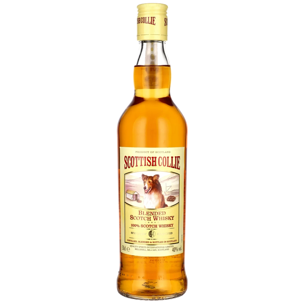 Scottish Collie